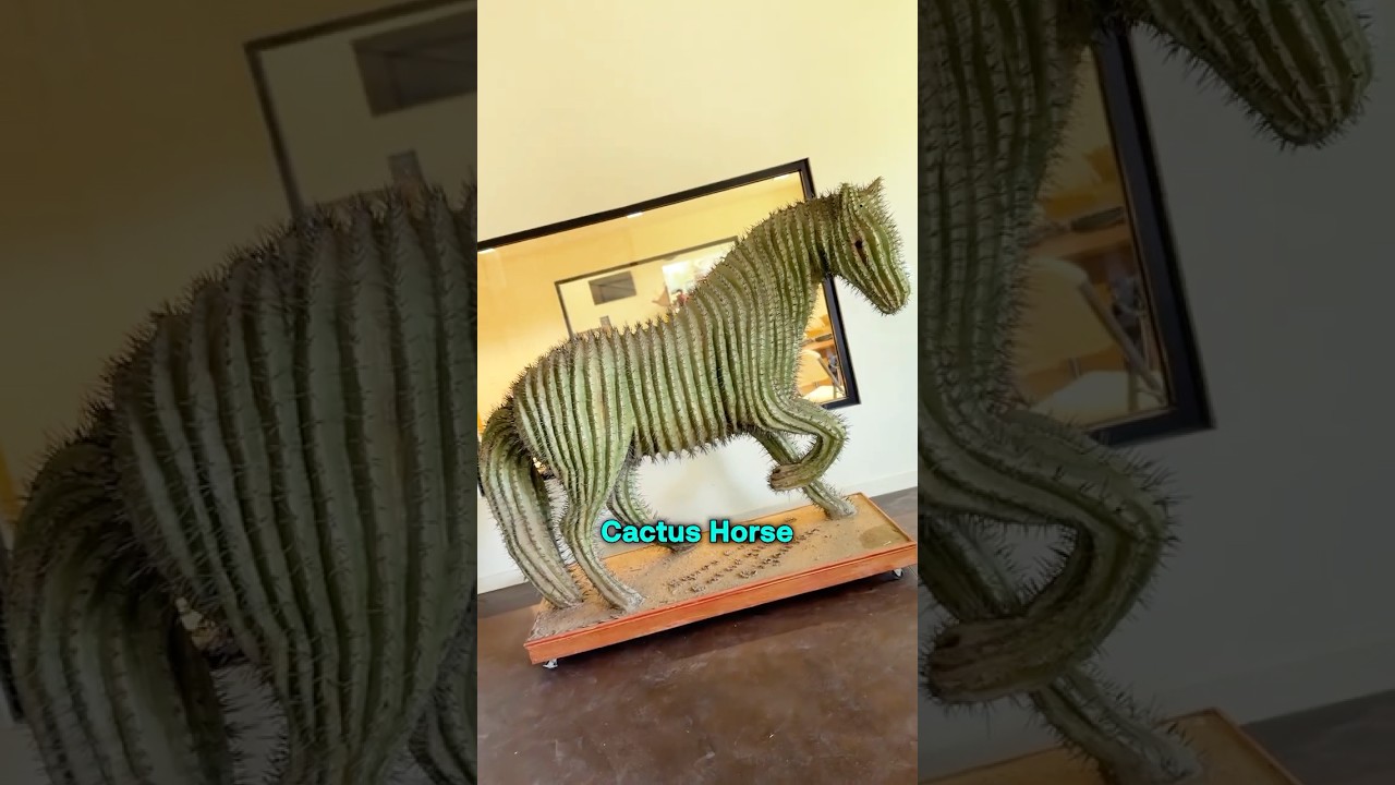 Вы когда-нибудь видели ЛОШАДЬ-КАКТУС? Мало кто видел! #WesternTradingPost #Horse #Auction