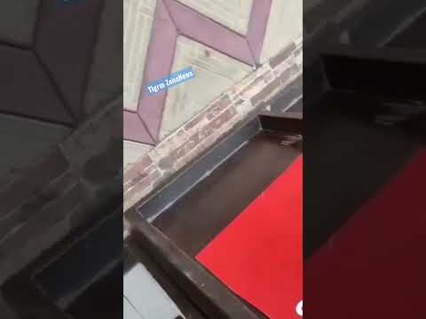 Жителю Дагестана не понравился внешний вид туристки