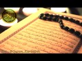 سورة القصص القارئ محمد المحيسني سورة القصص القارئ محمد المحيسني