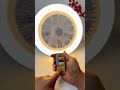 This Fan Bulb Is INSANE! 😱
