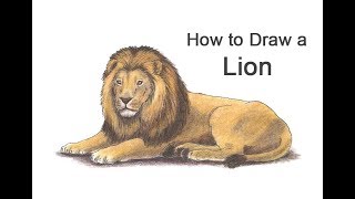 How to Draw a Lion (Color)