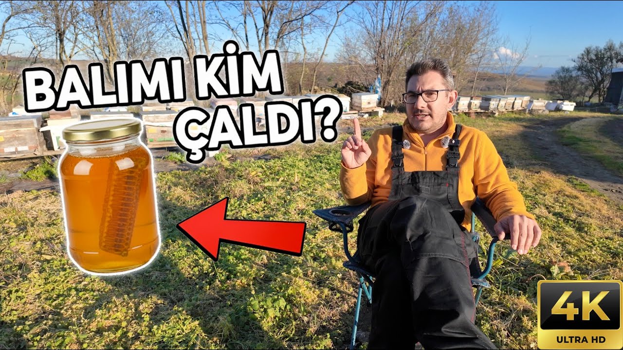 BAL NEDEN PARA ETMİYOR?