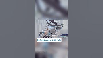 Case packer: đóng gói sản phẩm vô thùng tự động | Giải pháp đóng gói thùng carton tự động