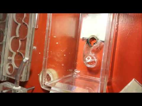 camera iphone 8 plus apk TUTO : comment fabriquer un biorama (fourmilière dans un aquarium)