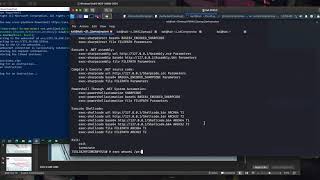 TA505+ Adversary Simulation:  Weaponisation - 4 Petaq Implant and Service Demonstration