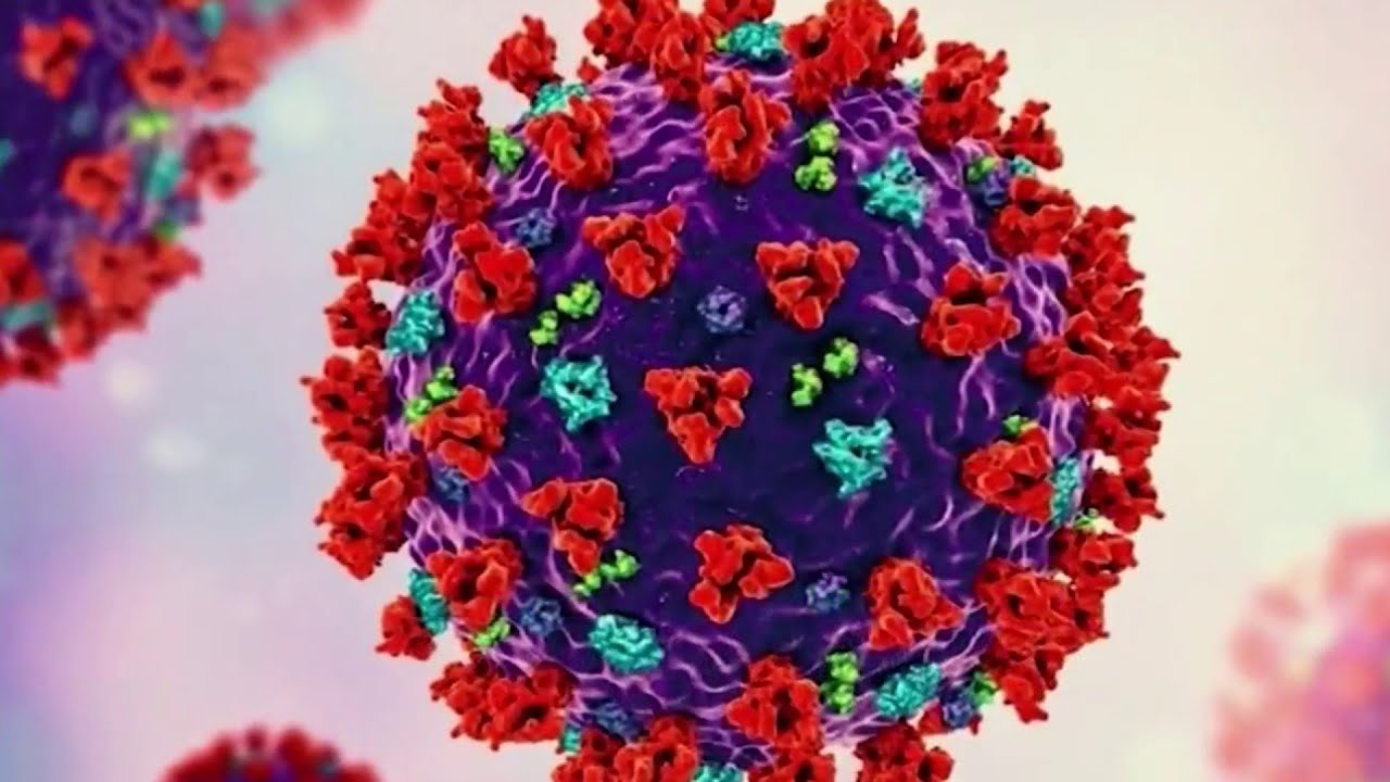 Florida breaks record with 31,758 new COVID-19 cases reported by CDC