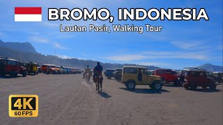 Sea of ​​sand, Bromo, Indonesia | The most beautiful gardens in the world 4K HDR 60 fps walking tour