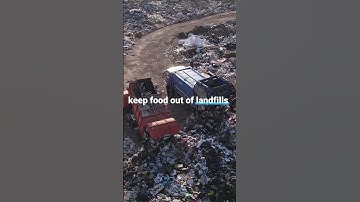 Food waste is fuelling climate change