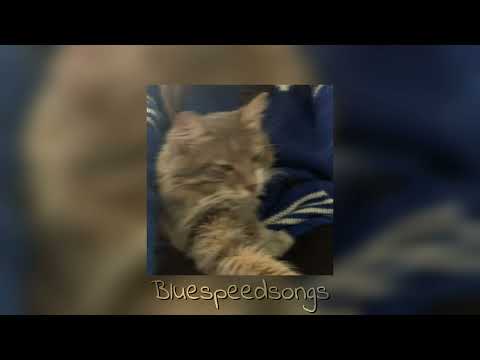 Sohodolls Bang Bang Bang Bang Slowed