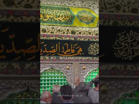 ١١ يناير، ٢٠٢٦