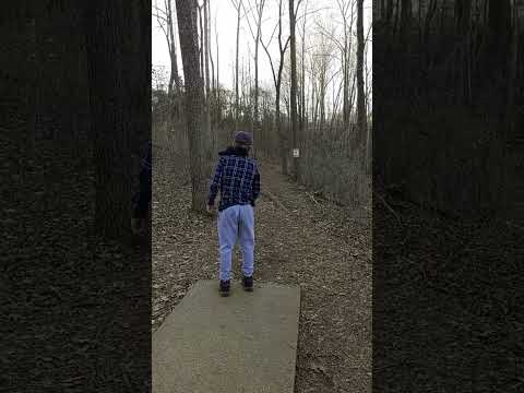 Disc Golf With T-Wrecks