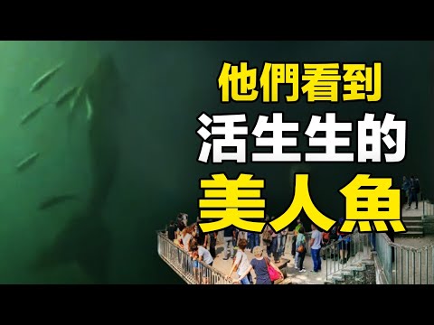 🔥🔥轟動全世界❗不同的時間，不同的國家，他們四個人都親眼見到了活生生的“美人魚”❗