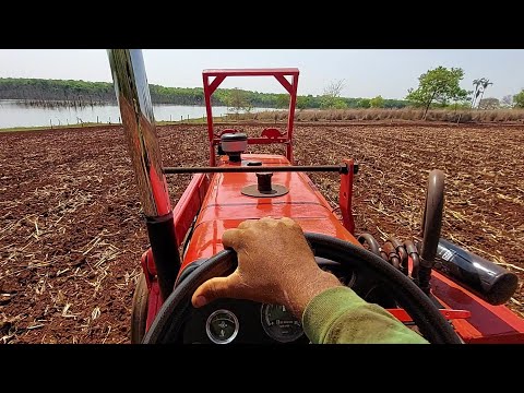 Plantio do milho transgenico K9606 outubro 2021