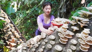 Harvest Wild Mushroom in the Forest Goes to market sell  Weeding the farm | My Bushcraft / Nhất