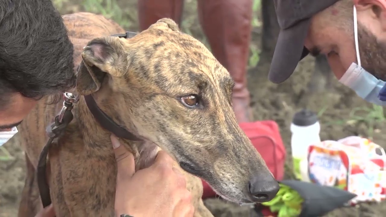 CAMPEONATO DE ESPAÑA 2021