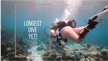 Longest dive yet...in the Turks and Caicos! - Lazy Gecko Sailing VLOG 124