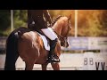 Instagram || Equestrian Music Video