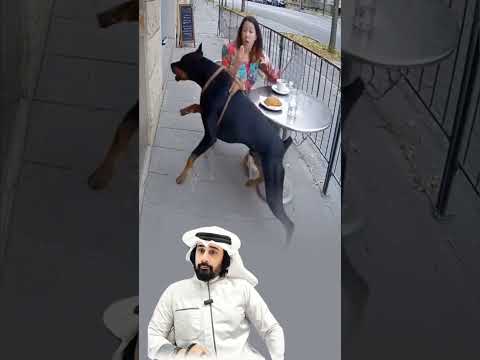 كم من دفعة ظنناها أذى فإذا بها رحمة تدفع عن ا البلاء قبل أن نراه Shorts