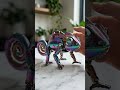 Chameleon Transformation #shorts #transformation #chameleon