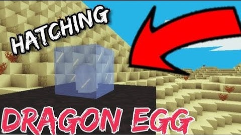 Multicraft how to hatch dragon eggs #wgitachi 