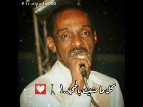 محمود عبدالعزيز الحوت سايق دلالو علي حالات واتساب