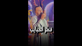 كوكب الصعيد محمود سليم || قطر الحبايب 👋