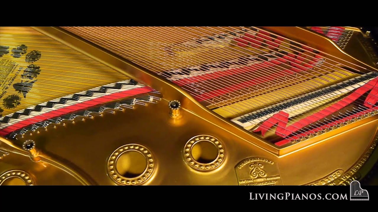 Steinway Art-Case Model A Grand Piano for Sale – Best Used Steinway Pianos