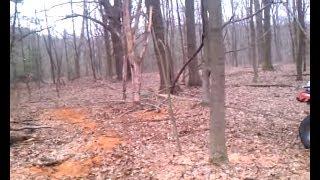 How to pull down hung up oak branch with quad