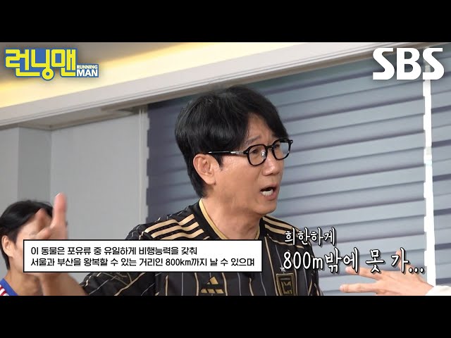 “희한하네...(?)” 지석진, 지예은이 전한 요상한 정보 이해 못 하고 꿋꿋이 전달↗