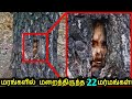 மரங்களில் மறைந்திருந்த 22 மர்மங்கள்! | Strangest Things Found In The Woods | Tamil Ultimate