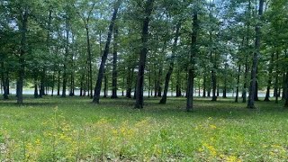 0 COUNTY ROAD 595, CEDAR BLUFF, AL Presented by Leslie Chatman.