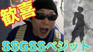 【ドッカンバトル】歓喜⁉︎ベジットブルー⁉︎声消失！　超ドッカンフェスガチャ