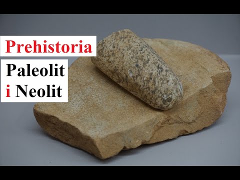 Wideo: Co To Jest Paleolit