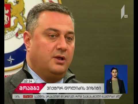 ვიქტორ დოლიძე უკრაინაში საქმიანი ვიზიტით გაემგზავრა