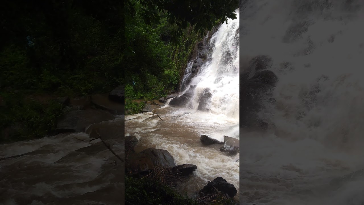 Srimane falls , sringeri