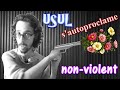 French ytp  usul sautoproclame nonviolent