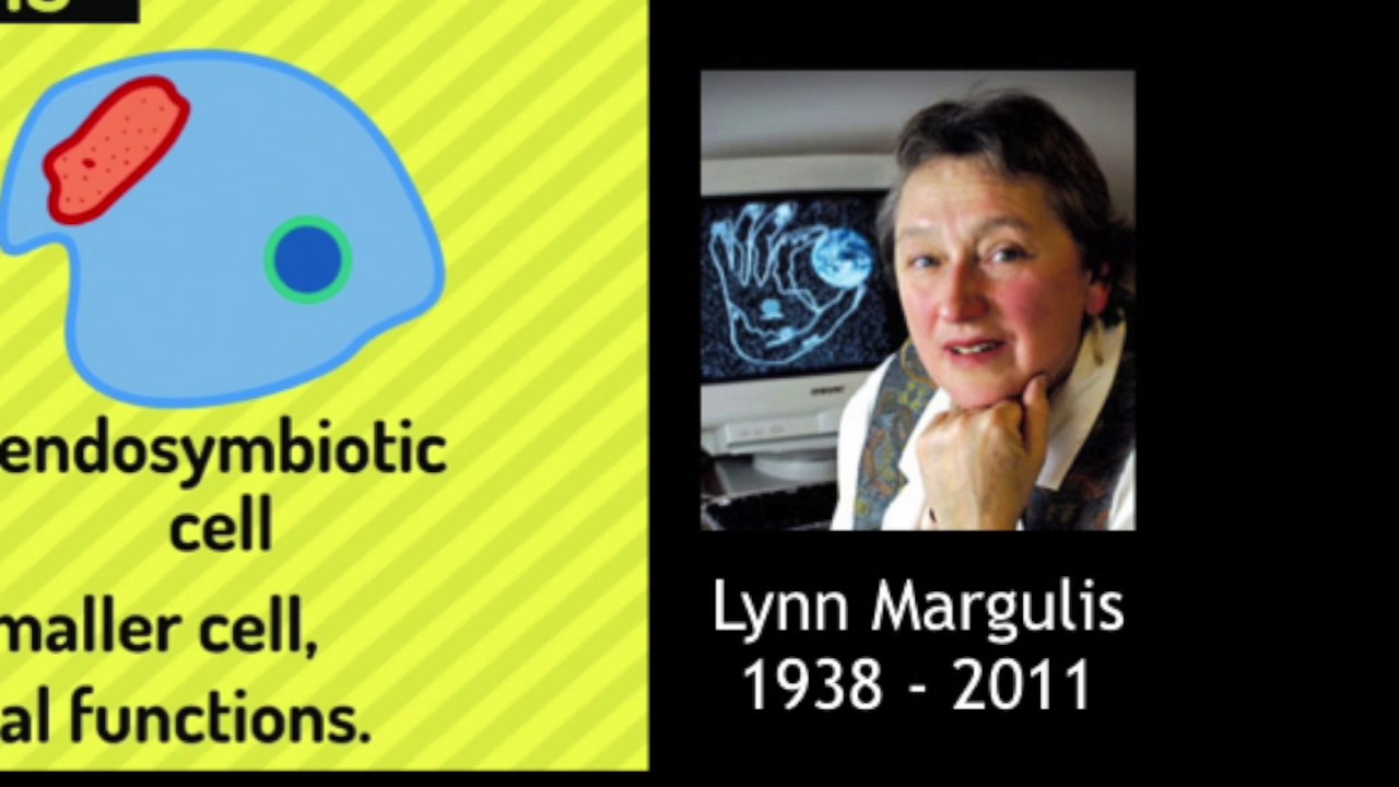 Women in Science: Life Beyond Earth - The Science of Astrobiology by Dr. Betul Kacar