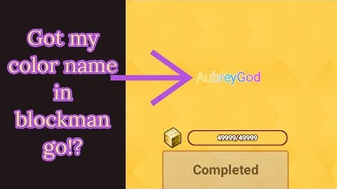 got my Finally color name in blockman go! 🤩