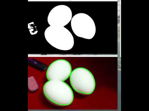 Egg Detection