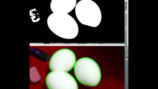 Egg Detection Wealth