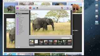 How to use Voila Pin feature to make a collage screenshot 1