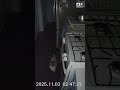 Cat Detects Gas Leak, Breaks Items to Sound Alarm for Sleeping Family | Night Vision 🚨🍶 #Shorts