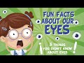 5 things you didnt know about eyes   educationals for kids