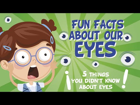 Video: 10 Interesting Facts About Eyes And Vision