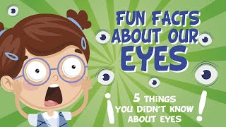 5 things you didn’t know about eyes | Educational Videos For Kids