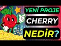 YENİ PROJE CHERRY BOT GAME NE KAZANDIRIR?