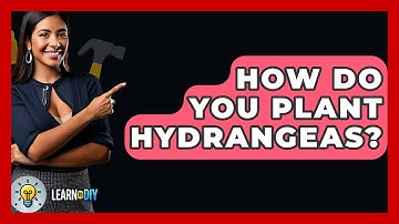 How Do You Plant Hydrangeas? - LearnToDIY360.com