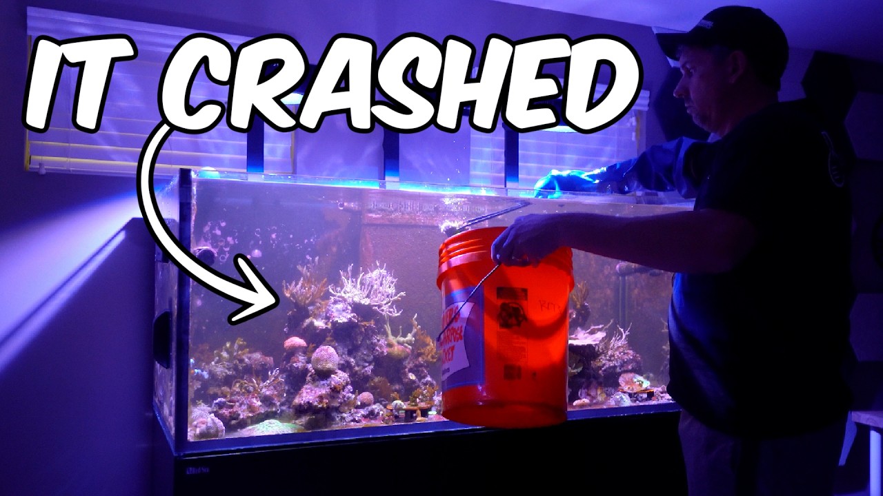 My Red Sea 625 CRASHED - Here's What *I THINK* Happened