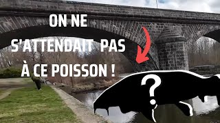 POISSON inattendu en CHERCHANT la CARPE