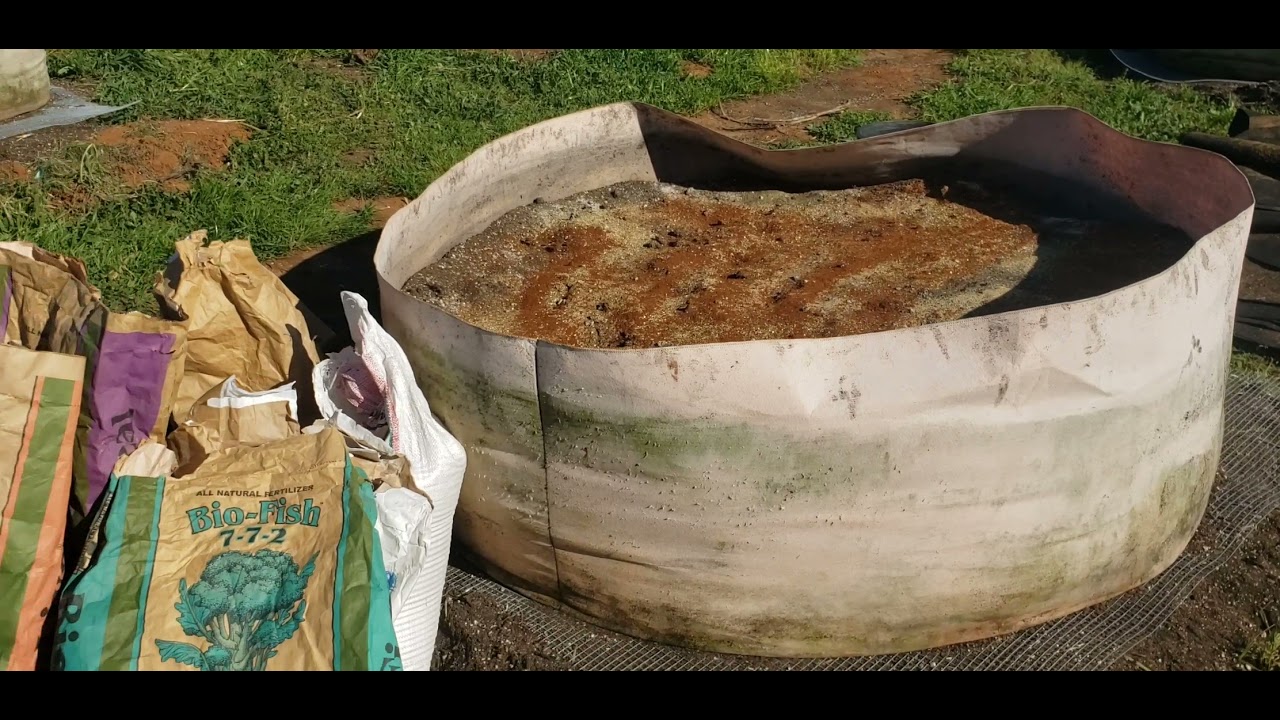 How to Add Amendments to Organically Reuse Soil